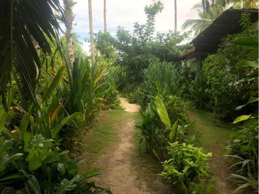Secret Spot Siargao General Luna (Surigao del Norte) Exterior foto